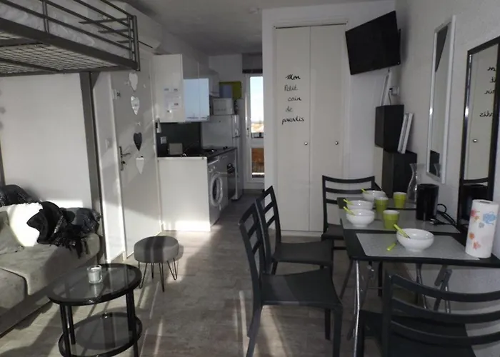 Panoramique Avec Climatisation Au Grau D'agde - Fr-1-423-152 * Ле-Гро-д'Агд